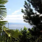 Josephine's Garden *